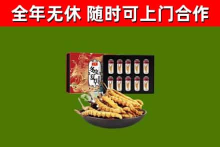 河池回收冬虫夏草价格
