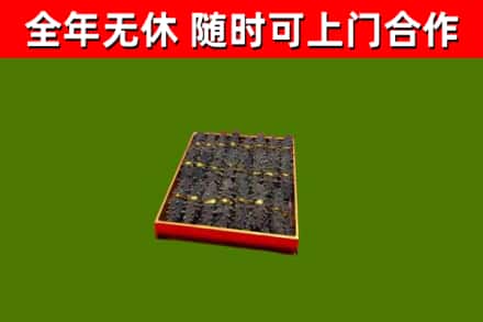 河池回收海参